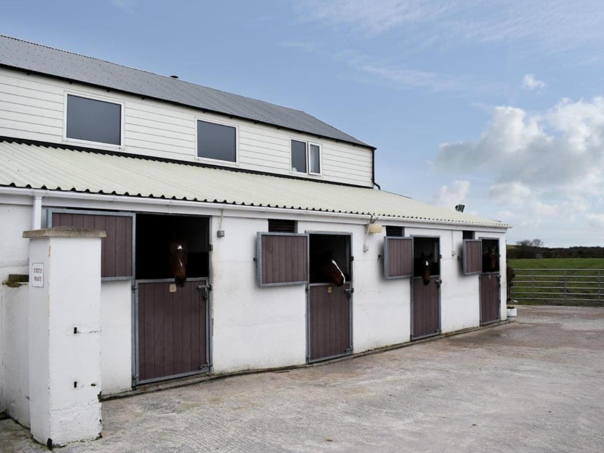 Rose Cottage Captivating 1-Bed Cottage In Bangor المظهر الخارجي الصورة